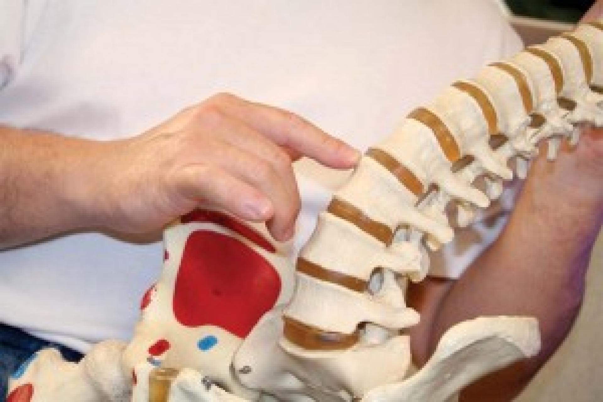 Low back pain and disc injury