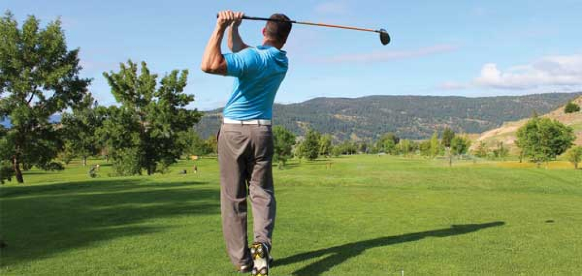 Rotator Cuff injury and shoulder pain