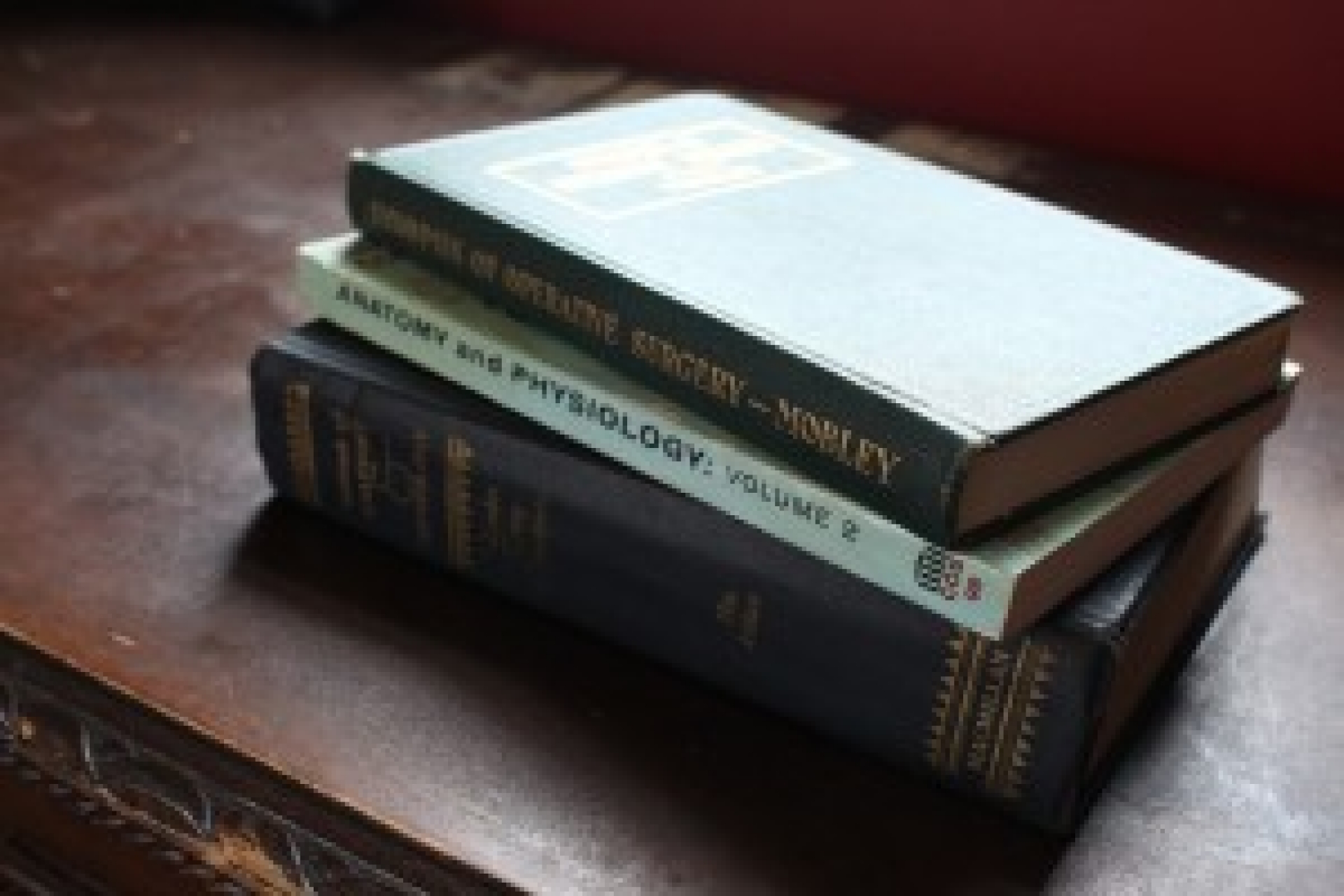 Physiotherapy Vs Chiropractic Treatment Vs Osteopathy