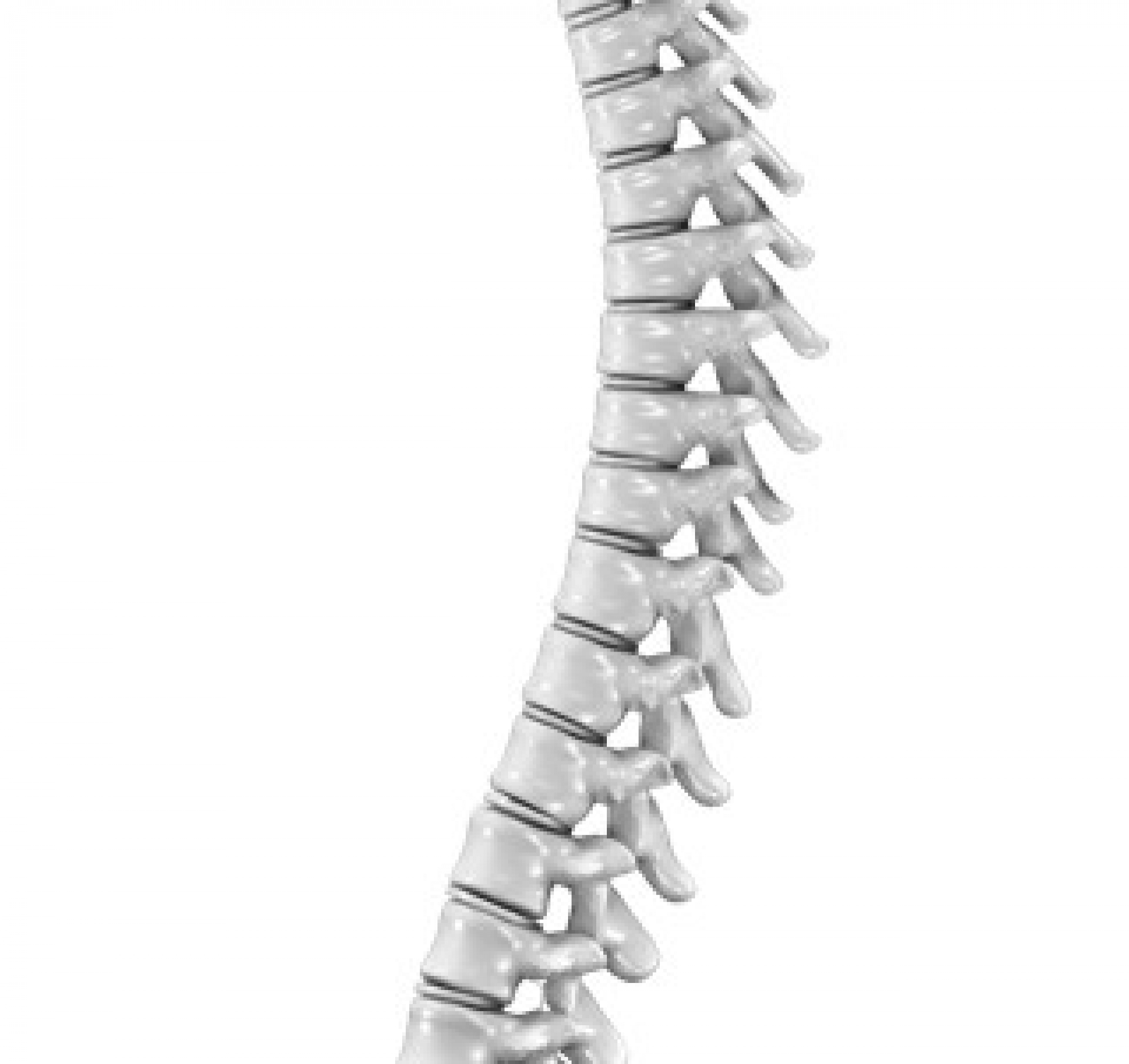 How to choose a good bed