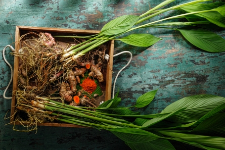 Turmeric: the spice of life