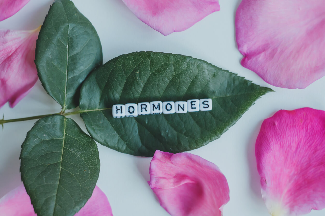 The Connection Between Chiropractic Care and Hormonal Balance image