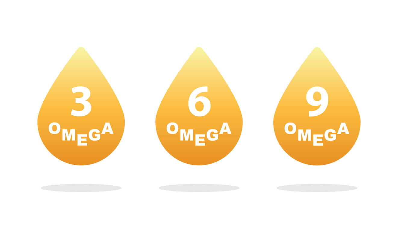 Coastline Chiropractic Port Macquarie's Leading Chiropractors