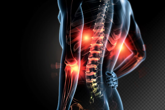 Guide to strong discs for a healthy spine