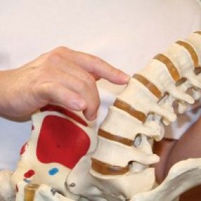  Low back pain and disc injury image